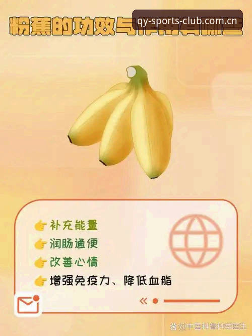 揭秘千亿球友会安卓版下载：安全、功能与体验的全面解析
